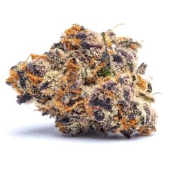 Purple Punch