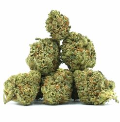 Super Skunk - Small Bud Indoor