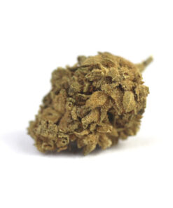 Suprême Widow Small Bud