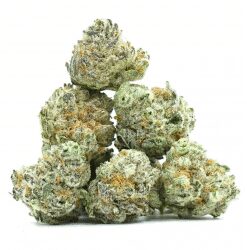 Tutti Frutti Small Buds